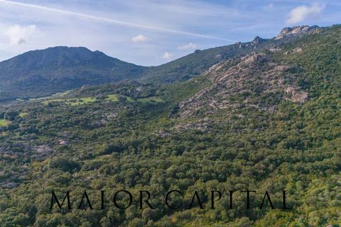 Terra a Calangianus, Sassari, Calangianus - € 150.000 | Ref: OLV-57-24 - foto 30