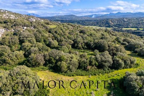 Helårsgrund i Arzachena, Sassari, Arzachena - € 175.000 | Ref: ARV-01-26 - foto 1