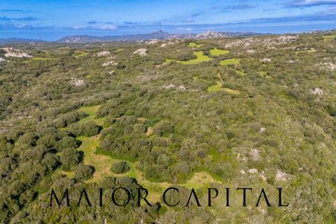 Helårsgrund i Arzachena, Sassari, Arzachena - € 175.000 | Ref: ARV-01-26 - foto 2