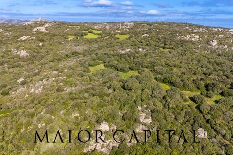 Helårsgrund i Arzachena, Sassari, Arzachena - € 175.000 | Ref: ARV-01-26 - foto 3