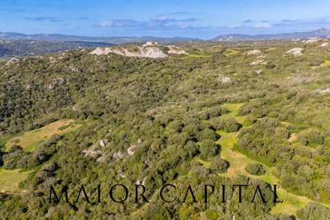 Helårsgrund i Arzachena, Sassari, Arzachena - € 175.000 | Ref: ARV-01-26 - foto 4