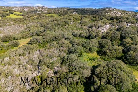 Helårsgrund i Arzachena, Sassari, Arzachena - € 175.000 | Ref: ARV-01-26 - foto 5