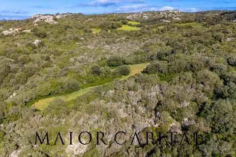 Helårsgrund i Arzachena, Sassari, Arzachena - € 175.000 | Ref: ARV-01-26 - foto 6
