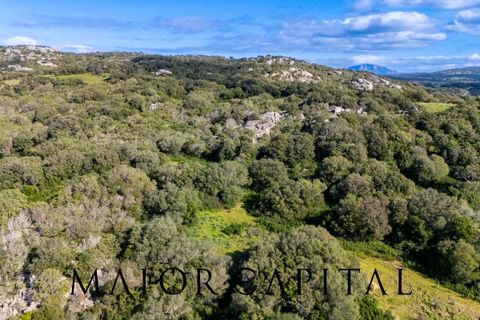 Helårsgrund i Arzachena, Sassari, Arzachena - € 175.000 | Ref: ARV-01-26 - foto 7