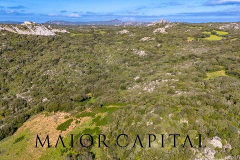 Helårsgrund i Arzachena, Sassari, Arzachena - € 175.000 | Ref: ARV-01-26 - foto 8