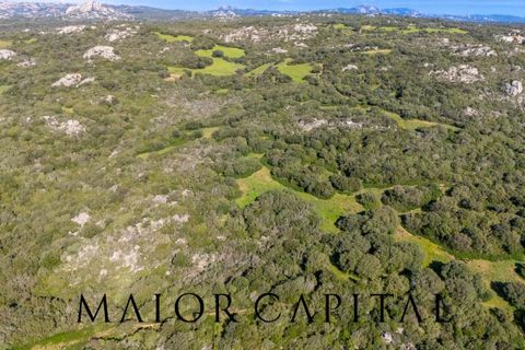 Helårsgrund i Arzachena, Sassari, Arzachena - € 175.000 | Ref: ARV-01-26 - foto 9