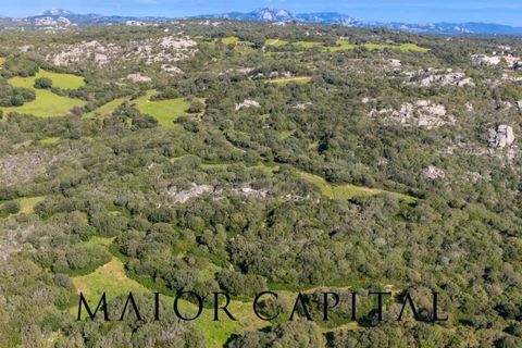 Helårsgrund i Arzachena, Sassari, Arzachena - € 175.000 | Ref: ARV-01-26 - foto 10