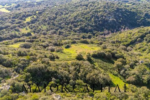 Helårsgrund i Arzachena, Sassari, Arzachena - € 175.000 | Ref: ARV-01-26 - foto 12