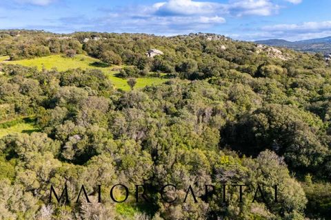 Helårsgrund i Arzachena, Sassari, Arzachena - € 175.000 | Ref: ARV-01-26 - foto 13