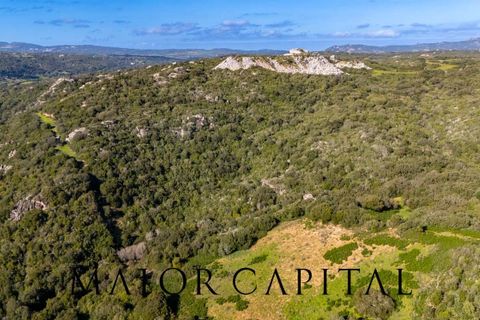 Helårsgrund i Arzachena, Sassari, Arzachena - € 175.000 | Ref: ARV-01-26 - foto 14