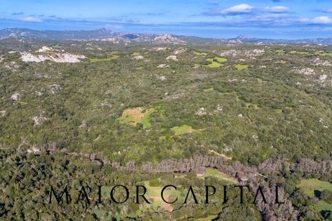 Helårsgrund i Arzachena, Sassari, Arzachena - € 175.000 | Ref: ARV-01-26 - foto 15