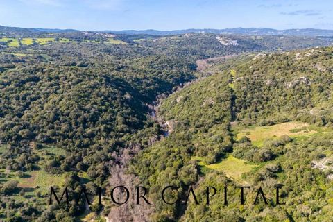 Helårsgrund i Arzachena, Sassari, Arzachena - € 175.000 | Ref: ARV-01-26 - foto 16