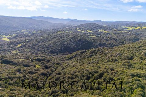 Helårsgrund i Arzachena, Sassari, Arzachena - € 175.000 | Ref: ARV-01-26 - foto 17