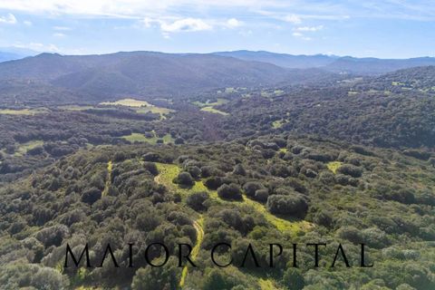 Helårsgrund i Arzachena, Sassari, Arzachena - € 175.000 | Ref: ARV-01-26 - foto 18