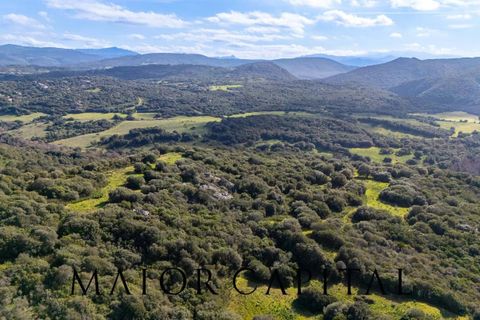 Helårsgrund i Arzachena, Sassari, Arzachena - € 175.000 | Ref: ARV-01-26 - foto 19