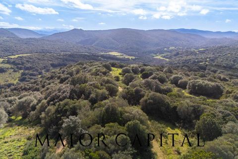 Helårsgrund i Arzachena, Sassari, Arzachena - € 175.000 | Ref: ARV-01-26 - foto 20