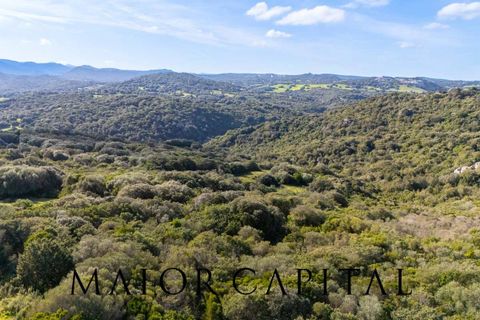 Helårsgrund i Arzachena, Sassari, Arzachena - € 175.000 | Ref: ARV-01-26 - foto 21