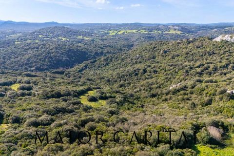 Helårsgrund i Arzachena, Sassari, Arzachena - € 175.000 | Ref: ARV-01-26 - foto 22