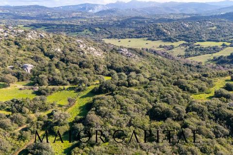 Helårsgrund i Arzachena, Sassari, Arzachena - € 175.000 | Ref: ARV-01-26 - foto 23