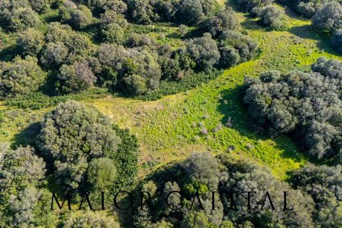 Helårsgrund i Arzachena, Sassari, Arzachena - € 175.000 | Ref: ARV-01-26 - foto 24