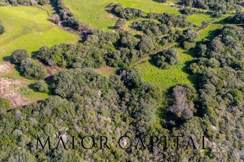 Helårsgrund i Arzachena, Sassari, Arzachena - € 175.000 | Ref: ARV-01-26 - foto 25