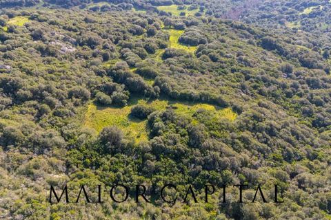 Helårsgrund i Arzachena, Sassari, Arzachena - € 175.000 | Ref: ARV-01-26 - foto 26