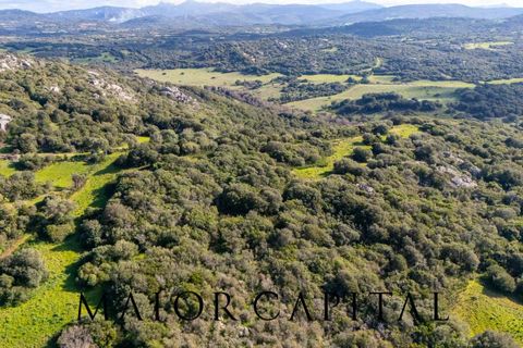 Helårsgrund i Arzachena, Sassari, Arzachena - € 175.000 | Ref: ARV-01-26 - foto 27
