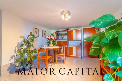 Villa i Oschiri, Sassari, Oschiri - € 270.000 | Ref: OSV-03-25 - foto 27