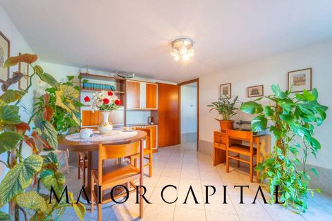 Villa i Oschiri, Sassari, Oschiri - € 270.000 | Ref: OSV-03-25 - foto 28