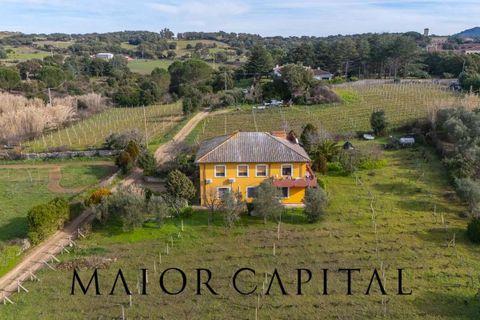 Villa i Monti, Sassari, Monti - € 380.000 | Ref: OLV-03-26 - foto 1