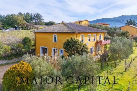 Villa i Monti, Sassari, Monti - € 380.000 | Ref: OLV-03-26 - foto 3