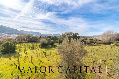 Villa i Monti, Sassari, Monti - € 380.000 | Ref: OLV-03-26 - foto 24