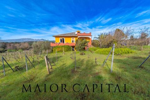 Villa i Monti, Sassari, Monti - € 380.000 | Ref: OLV-03-26 - foto 37