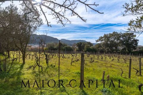 Villa i Monti, Sassari, Monti - € 380.000 | Ref: OLV-03-26 - foto 38