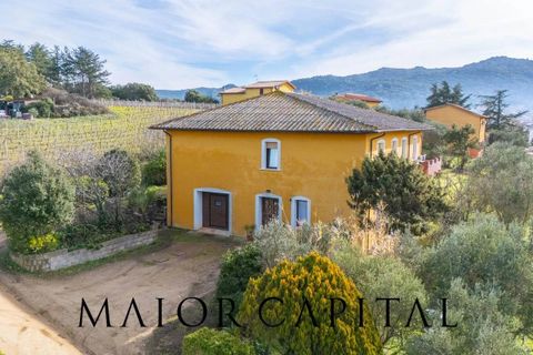 Villa i Monti, Sassari, Monti - € 380.000 | Ref: OLV-03-26 - foto 39