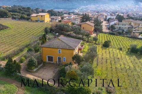 Villa i Monti, Sassari, Monti - € 380.000 | Ref: OLV-03-26 - foto 40