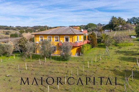 Villa i Monti, Sassari, Monti - € 380.000 | Ref: OLV-03-26 - foto 41