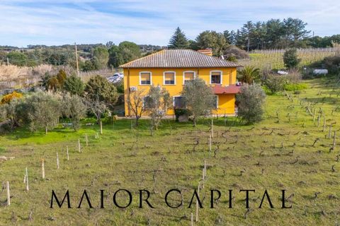 Villa i Monti, Sassari, Monti - € 380.000 | Ref: OLV-03-26 - foto 42