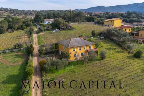 Villa i Monti, Sassari, Monti - € 380.000 | Ref: OLV-03-26 - foto 43