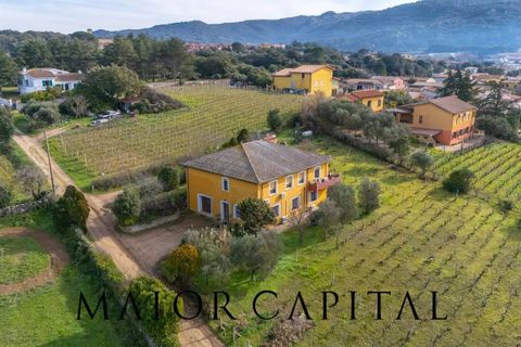 Villa i Monti, Sassari, Monti - € 380.000 | Ref: OLV-03-26 - foto 44