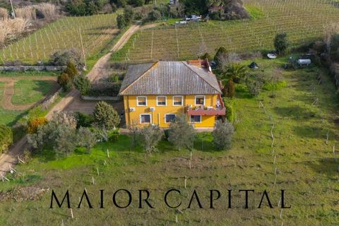 Villa i Monti, Sassari, Monti - € 380.000 | Ref: OLV-03-26 - foto 45