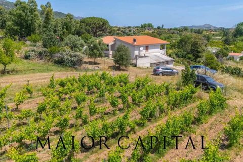Villa a Siniscola, Nuoro, Siniscola - € 400.000 | Ref: SNV-04-25 - foto 3