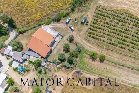 Villa a Siniscola, Nuoro, Siniscola - € 400.000 | Ref: SNV-04-25 - foto 40