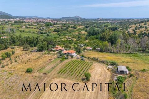 Villa a Siniscola, Nuoro, Siniscola - € 400.000 | Ref: SNV-04-25 - foto 41