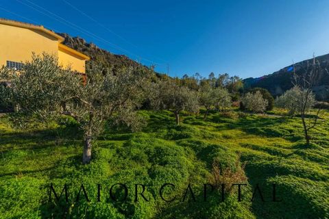 Villa a Posada, Nuoro, Posada - € 445.000 | Ref: POV-06-24 - foto 35