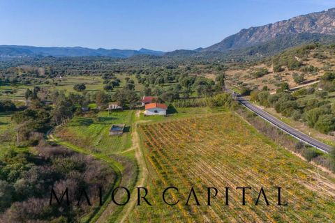 Tomt i Oliena, Nuoro, Oliena - € 449 000 | Ref: NUV-02-24 - foto 2