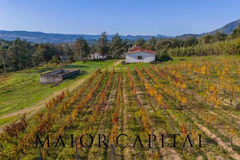 Tomt i Oliena, Nuoro, Oliena - € 449 000 | Ref: NUV-02-24 - foto 3