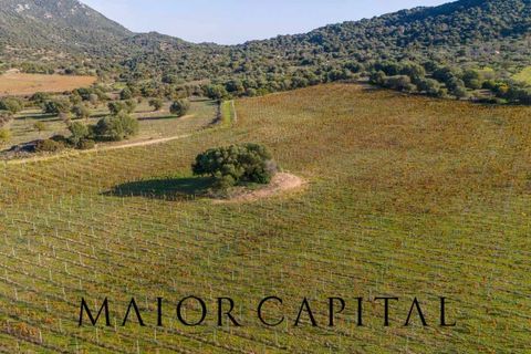 Tomt i Oliena, Nuoro, Oliena - € 449 000 | Ref: NUV-02-24 - foto 5