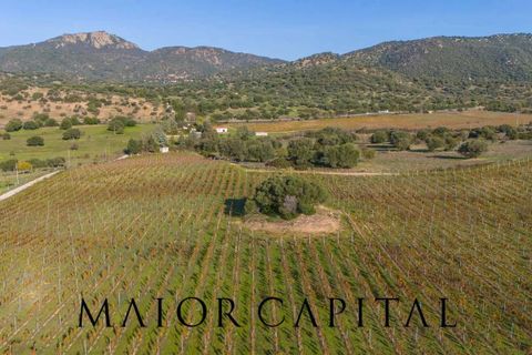 Tomt i Oliena, Nuoro, Oliena - € 449 000 | Ref: NUV-02-24 - foto 6