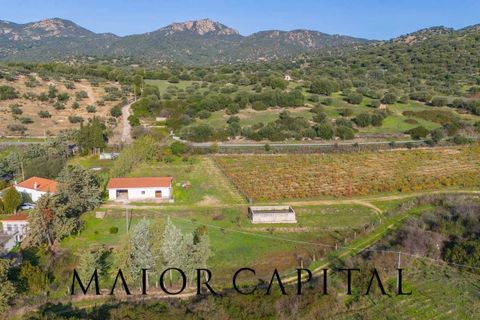 Tomt i Oliena, Nuoro, Oliena - € 449 000 | Ref: NUV-02-24 - foto 11